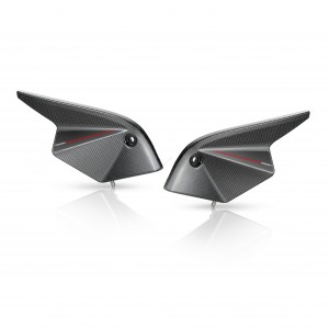 Cárter inyección Rizoma...