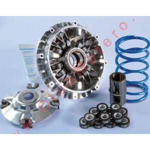 Variador Polini Hi Speed...