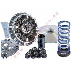 Variador Polini Evolution...