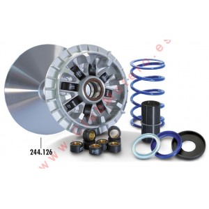 Variador Polini Evo Para...