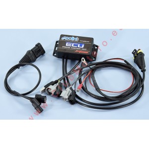 Ecu ( Centralita ) Polini...