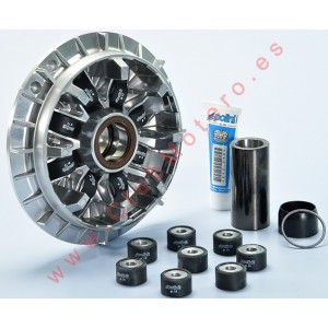 Variador Polini Hi Speed...