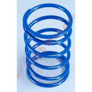 Muelle De Contraste Polini...