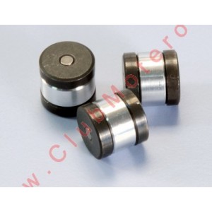 Masas Centrifugas Polini...