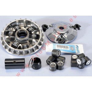 Variador Hi Speed Polini...