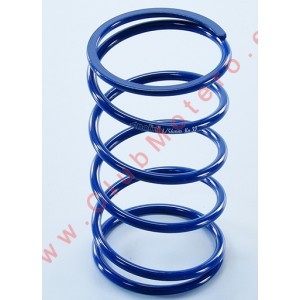 Muelle de Contraste Polini...