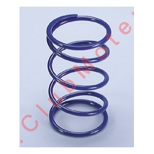 Muelle de contraste Polini...