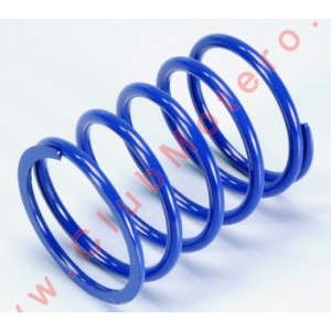 Muelle de Contraste Polini...