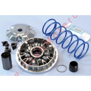 Variador Polini para Honda...