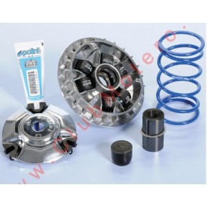Variador Polini para Honda...