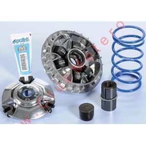 Variador Hi speed Polini...