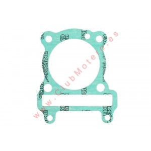 Junta base de cilindro Athena