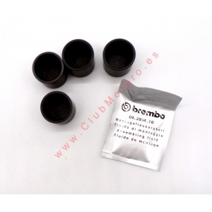 Juego de Pistones P4 30...