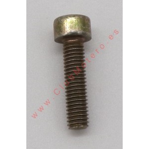Tornillo Brembo A10834105
