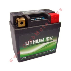 Bateria Skyrich Litio LFP01 