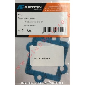 Junta laminas Artein...