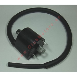 Bobina de ignición...