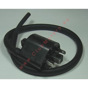 Bobina de ignición...
