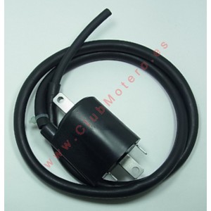 Bobina de ignición...