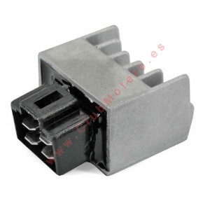 Regulador TECNIUM 12V CA/CC...