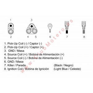 CDI TECNIUM - Polaris...