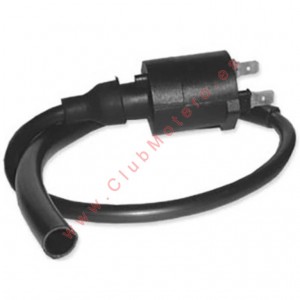 Bobina DZE 4018 TRX 400/450...