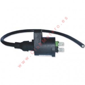 Bobina DZE 4019 TRX 250...