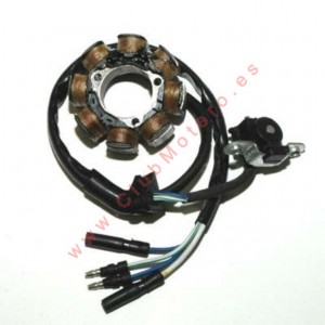 STATOR CRF450R 02-04