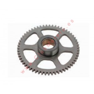 Engranaje de arranque TOP...