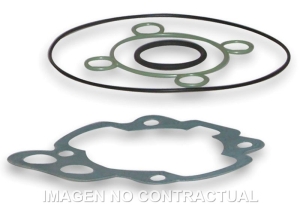 Juntas Cilindro Malossi...