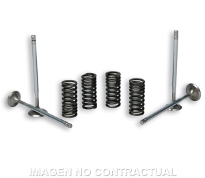 Válvulas t Stroke Malossi...