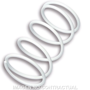 Muelle Polea Conducida...