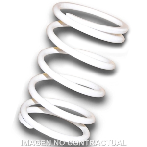 Muelle Polea Conducida...