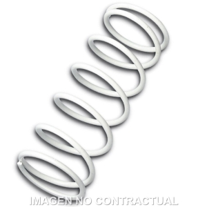 Muelle Polea Conducida...