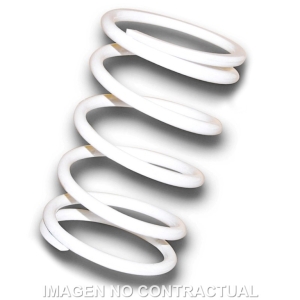 Muelle Polea Conducida...