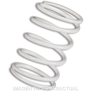 Muelle Polea Conducida...