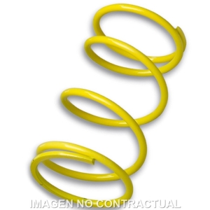 Muelle Polea Conducida