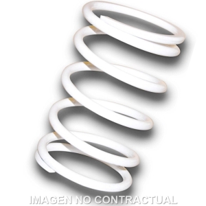 Muelle Polea Conducida...