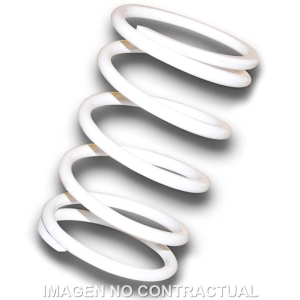 Muelle Polea Conducida...