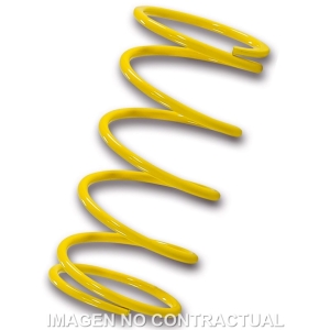 Muelle Polea Conducida...