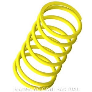 Muelle Polea Conducida...