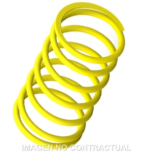 Muelle Polea Conducida...