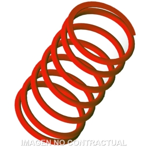 Muelle Polea Conducida...