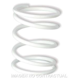 Muelle Polea Conducida...