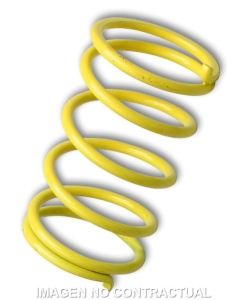 Muelle Polea Conducida...