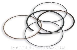 Segmentos D. 75,5 mm