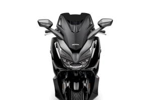 CUPULA MALOSSI SPORT SCREEN...