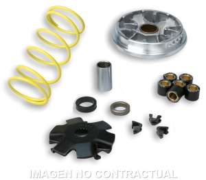 Variador Malossi Multivar...