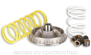 Variador Malossi Multivar...