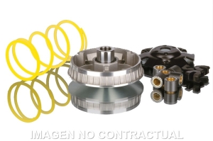 Variador Malossi Multivar...